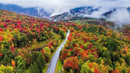 ببینید | پاییز زیبای جاده دیلمان