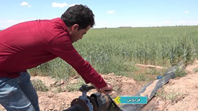 تجهیز ۸۰۰ هکتار از اراضی آبی کشاورزی خراسان جنوبی به سیستمهای نوین آبیاری تجهیز ۸۰۰ هکتار از اراضی آبی کشاورزی خراسان جنوبی به سیستمهای نوین آبیاری