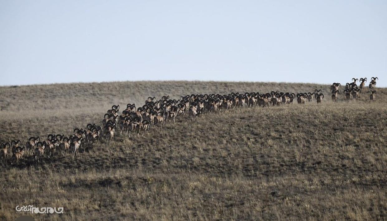 حفاظت از محیط زیست بدون دانش بومی و مشارکت مردمی شدنی نیست حفاظت از محیط زیست بدون دانش بومی و مشارکت مردمی شدنی نیست