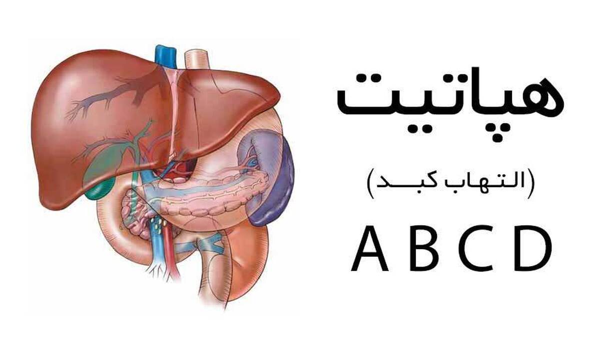 در این کلیپ با بیماری هپاتیت، انواع آن و علائم این بیماری آشنا می‌شوید.