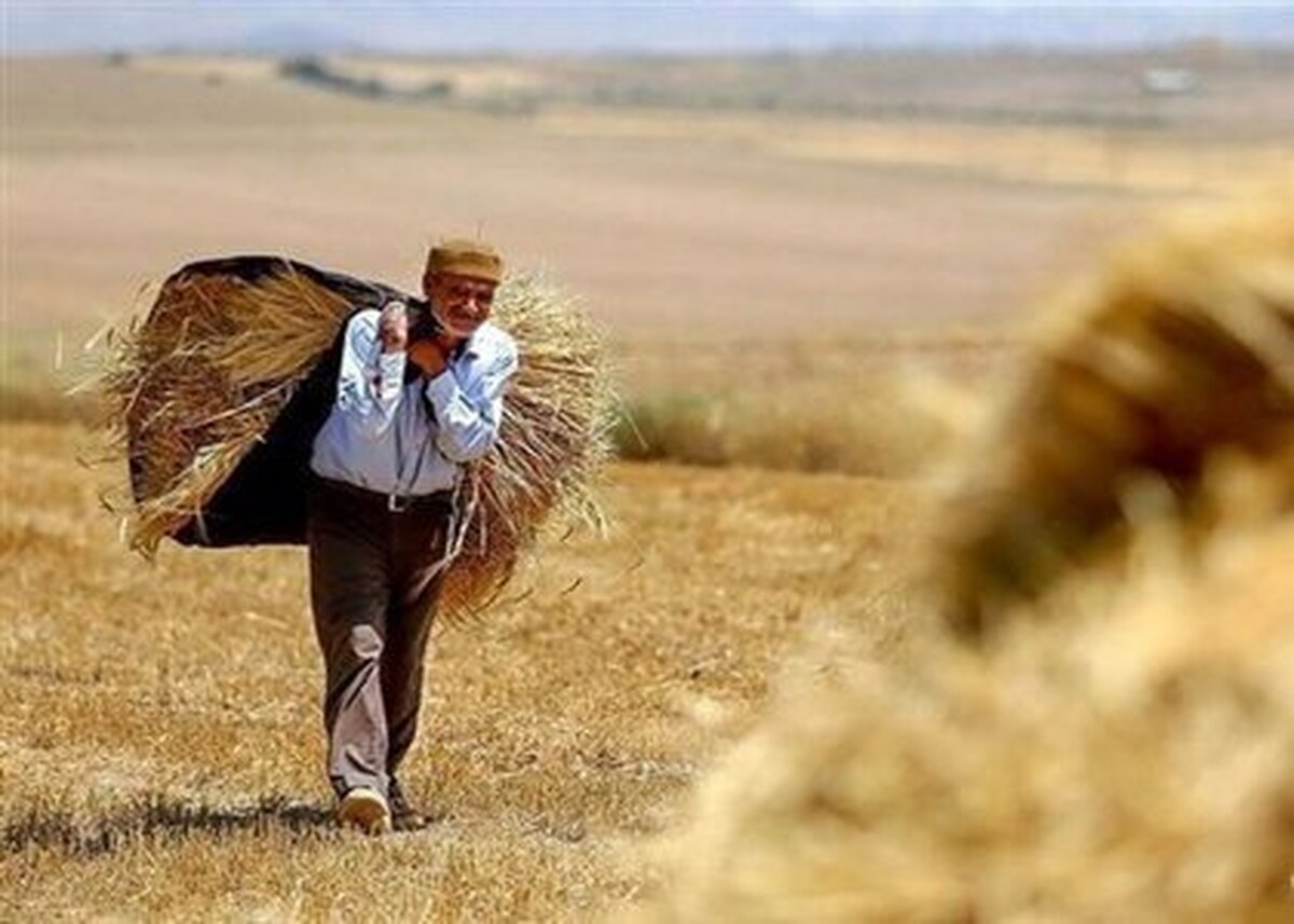 تهدیدات کشاورزی استان مرکزی، از ناترازی انرژی تا اعتبارات بازسازی مبهم و قابل تفسیر