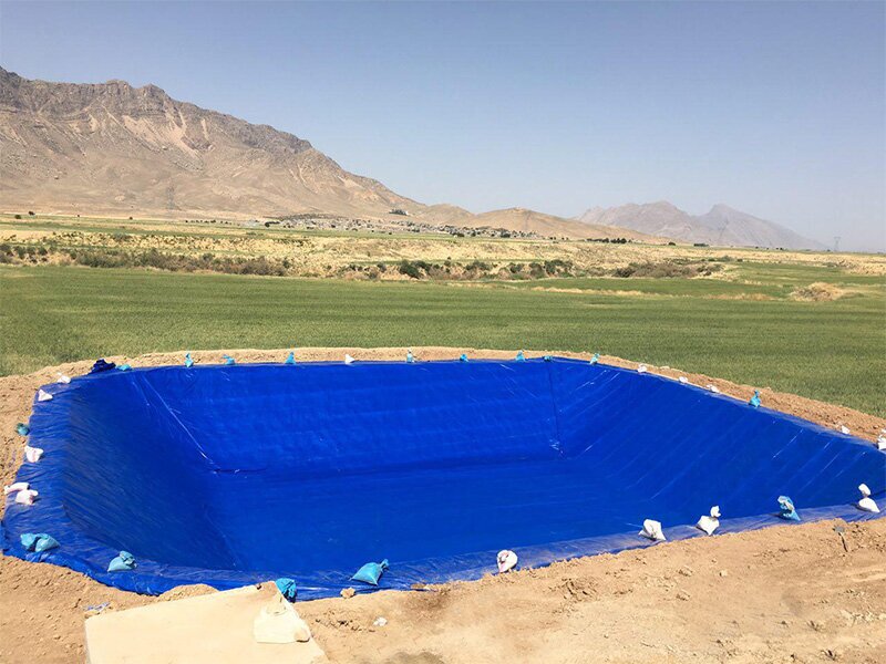 «تخت جمشید» و ساخت استخرهای کشاورزی در حریم آن «تخت جمشید» و ساخت استخرهای کشاورزی در حریم آن