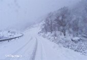 ۵۰ سانتی‌متر برف در گلستان بارید