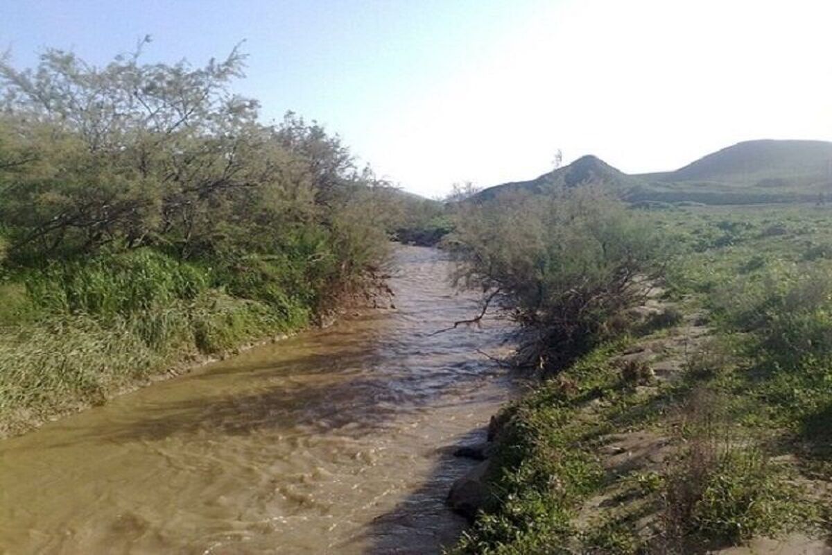 مدیر منابع آب مغان از ساماندهی ۵۲ کیلومتر از طول روخانه مرزی ارس خبر داد و گفت: در صورت تخصیص اعتبارات تمامی مسیر رودخانه ساحل‌بندی و ساماندهی خواهد شد.