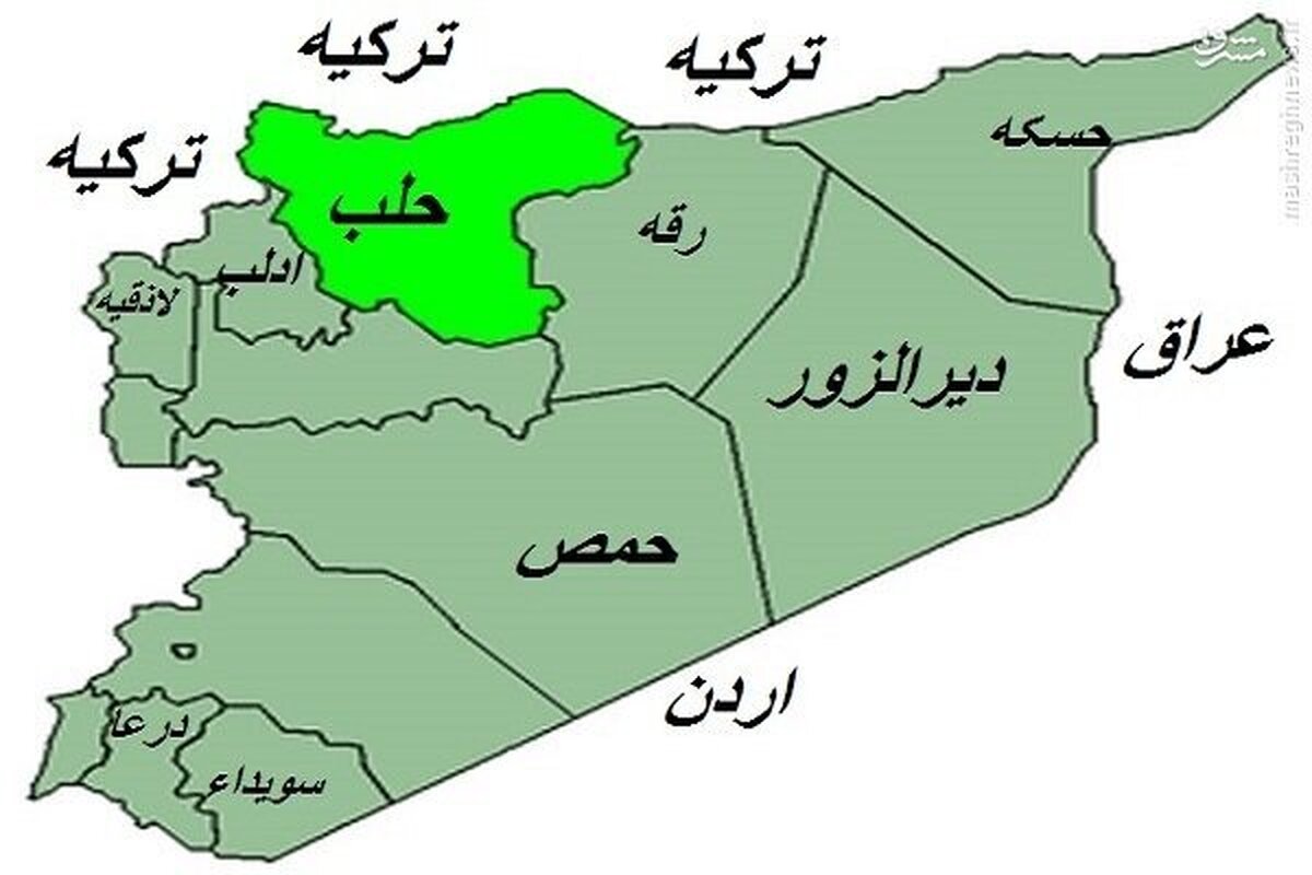 برخی شبکه‌های عربی به نقل از مخالفان دولت سوریه مدعی ورود گروه‌های تروریستی به برخی محله‌های شهر حلب شدند.