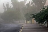 هشدار هواشناسی برای تهران | وزش باد شدید و خطر شکستن درختان