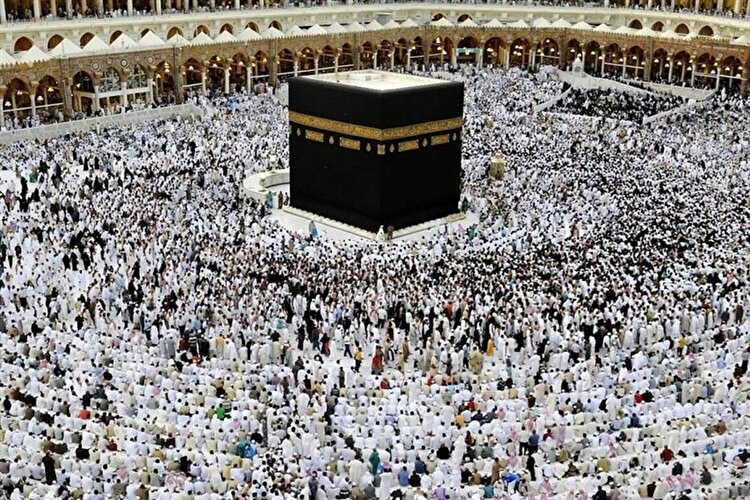 ثبت‌ نام ۸۳ هزار زائر برای حج ۱۴۰۴ | حضور یک پزشک برای معاینه هر ۵۵۰ زائر