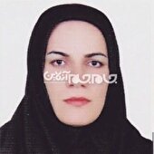 خورموج؛ تداوم تاریخ در مواجهه با تغییرات اجتماعی و فرهنگی