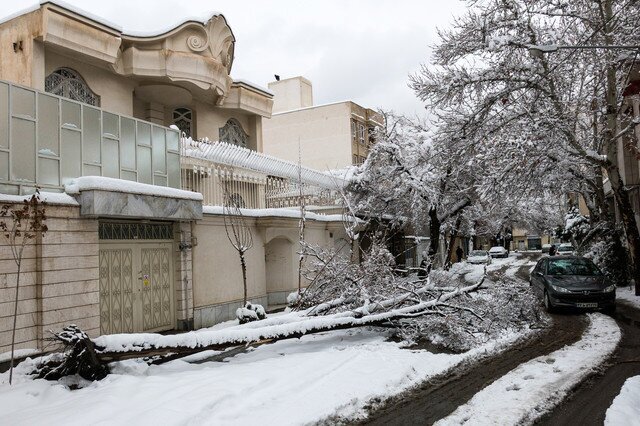 جمع‌آوری حدود ۲۰ اصله درخت شکسته در پی طوفان برف شب گذشته مشهد