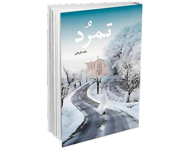 نقد حسین انتظامی بر کتاب یک نویسنده جوان