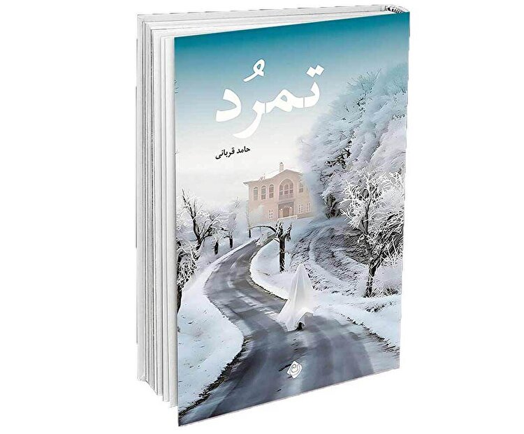 نقد حسین انتظامی بر کتاب یک نویسنده جوان