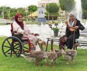 حمایت یک میلیارد ریالی از کهریزک البرز