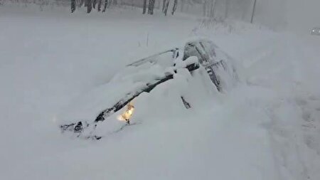 ببینید | دفن نیویورک