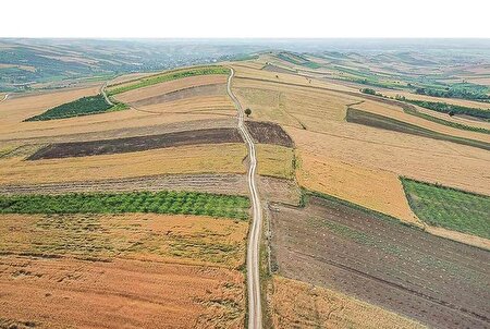 دیم‌زارها‌؛ توسعه کشاورزی از دل باران