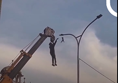 بینید | نجات عجیب پرنده!