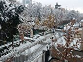 بارش برف زمستانی هوای کلانشهر مشهد را «پاک» کرد