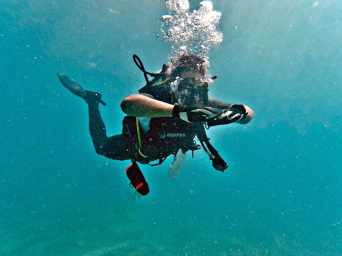 ببینید | غواصی حیوان خانگی!