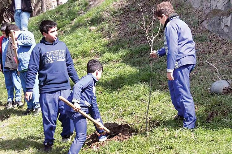 دانش آموزان مشق سبز می‌خواهند
