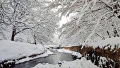 برف و باران در ۳۱ استان ایران