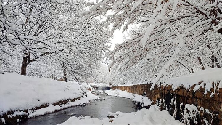 هشدار نارنجی هواشناسی برای ۲۵ استان ایران  