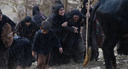 قهرمانی در مسیری پر از چالش