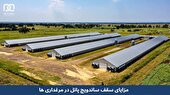 مزایای سقف ساندویچ پانل در مرغداری ها