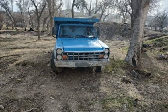 تعرض به درختان شهر بی‌پاسخ نمی‌ماند