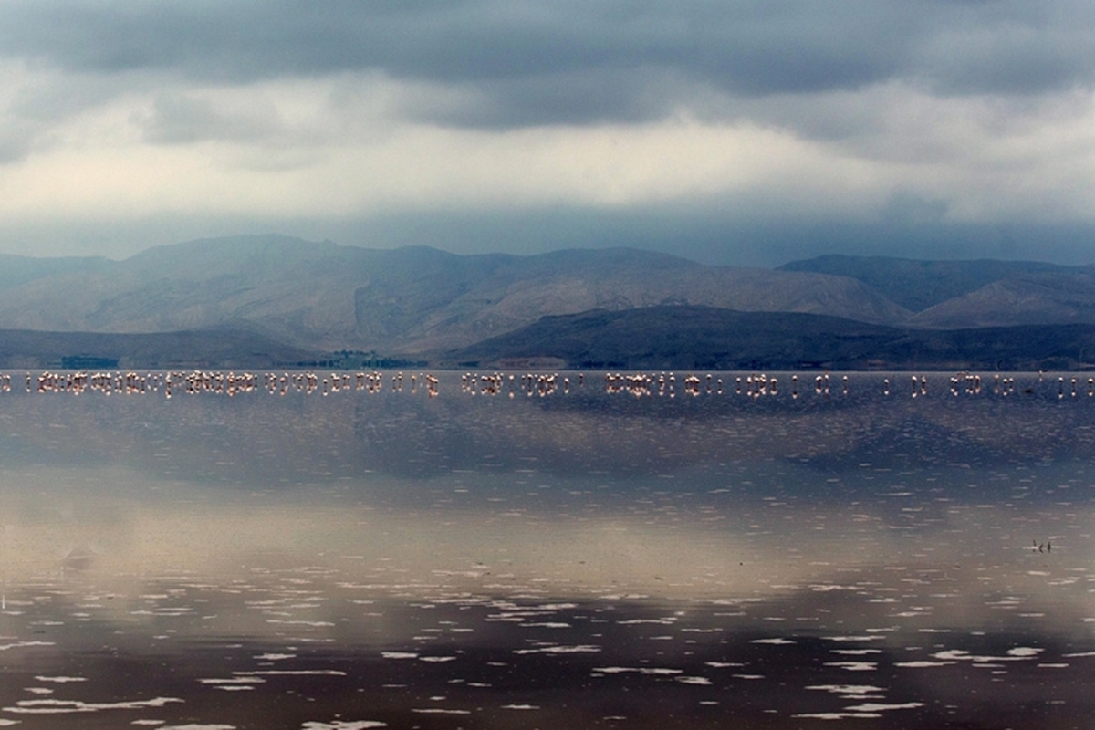 رشد ۸۱ درصدی بارش‌ها تا ۵ بهمن‌ماه