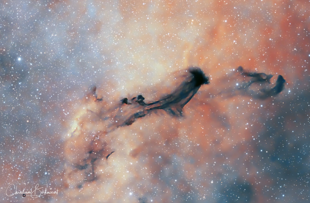 عکس روز ناسا؛ روح تاریک