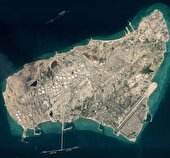 باتلاق نفتی ترامپ