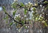 آسمان کشور تا پایان سال بارانی خواهد بود