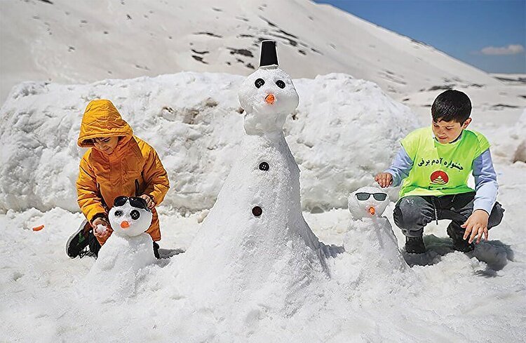 پیامدهای گرمای زمستانه