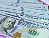 واقعی شدن نرخ ارز در بلندمدت به نفع اقتصاد کشور است