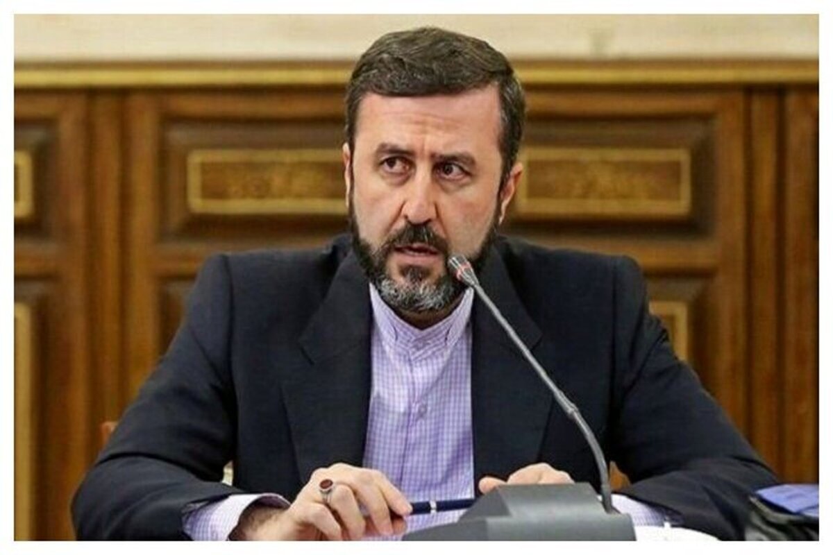 معاون امور حقوقی و بین‌الملل وزارت امور خارجه جمهوری اسلامی ایران در دیوان بین‌المللی دادگستری در لاهه گفت: جنایت‌های رژیم صهیونیستی علیه فلسطینیان مصداق بارز نسل‌کشی است.