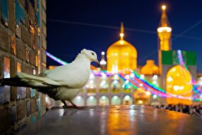 برای تو که همیشه می‌شنوی 