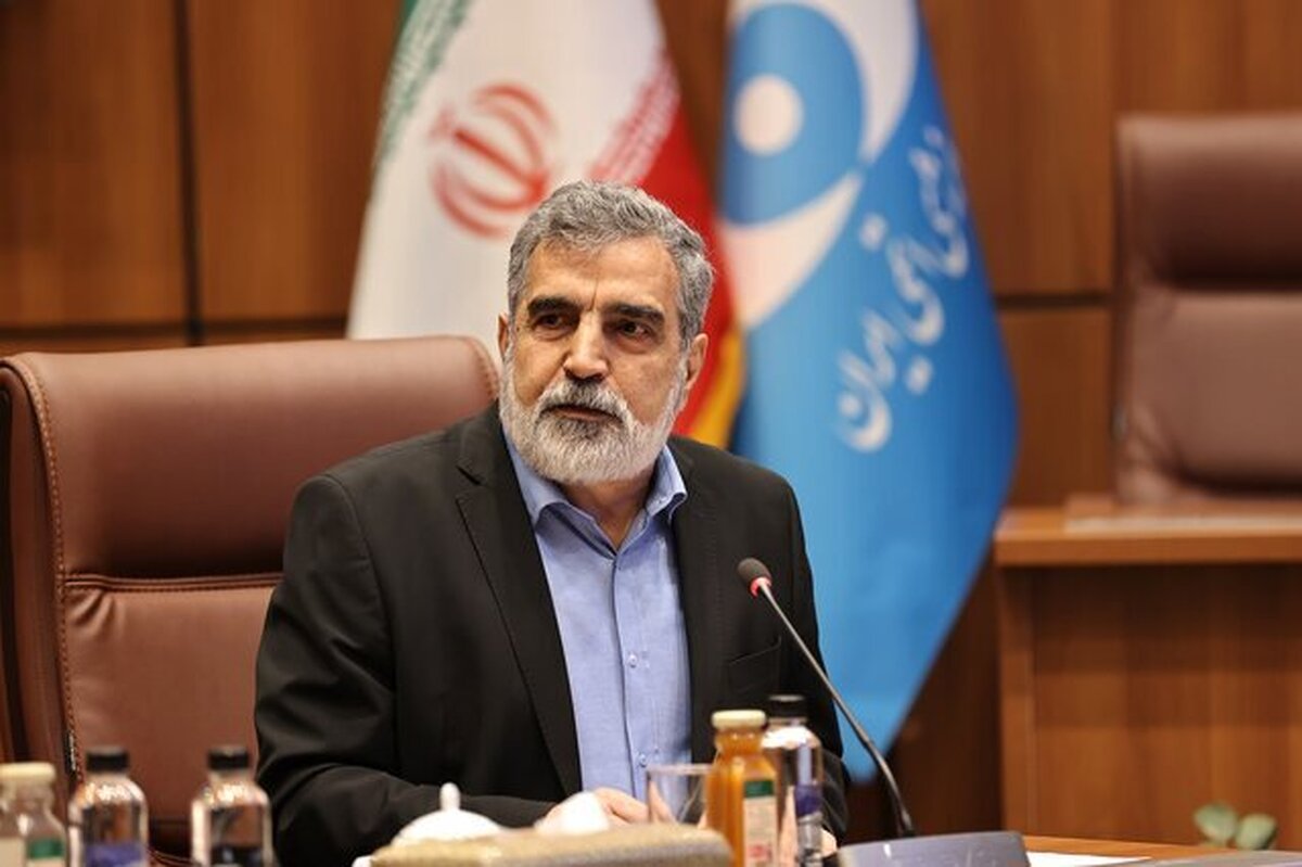 معاون سازمان انرژی اتمی ایران ضمن اشاره به اظهارات اخیر ترامپ مبنی بر اینکه با توجه به منابع سرشار نفت، ایران نیازی به انرژی اتمی ندارد؛ گفت: حق ایران است که از فناوری صلح‌آمیز هسته‌ای برخوردار باشد.
