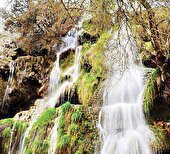 سفر به دل عطر و آب