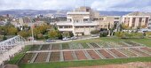 علوم پزشکی در مسیر تحول