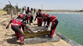 غرق شدن مرد جوان در استخر کشاورزی در مشهد