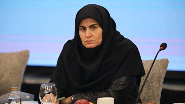 عملکرد جزیرهای، بهرهوری را در استان پایین آورده است