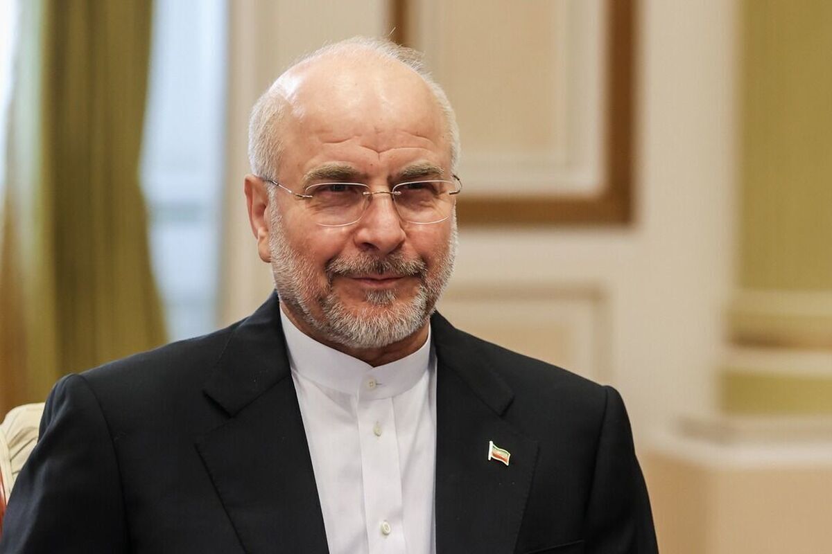 رئیس مجلس شورای اسلامی که امروز بعد از پایان سفر دوره‌ای خود به آمریکای لاتین و جنوبی (ونزوئلا، کوبا و برزیل) وارد فرودگاه مهرآباد تهران شده بود، ضمن تبریک عید سعید قربان و قبولی طاعات به ملت عزیز و حجاج ایرانی در روز عرفه، گفت: شنبه‌شب هفته گذشته سفر خود به آمریکای لاتین را آغاز کردیم و مقصد نهایی ما برزیل بود.