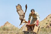 محیط‌بان آسان پرمی‌کشد!