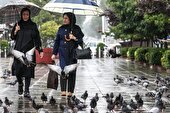 ماندگاری خنکای هوا تا چهارشنبه در تهران | احتمال وقوع توفان تندری