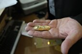 ۱۷ میلیارد ریال شمش و طلای قاچاق در فرودگاه مشهد کشف شد