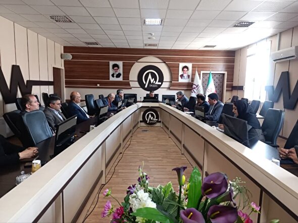 بهرهگیری از ظرفیتهای نوین در توسعه صنعت برق خراسان جنوبی