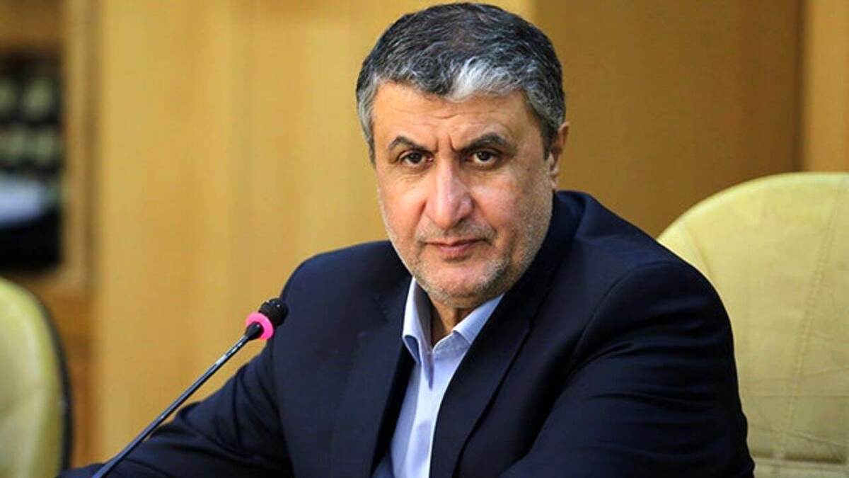 رئیس سازمان انرژی اتمی ایران گفت: روند توسعه و بهرهمندی از صنعت هستهای در کشور رو به افزایش است و نصب رینگ دوم راکتور بوشهر مطابق برنامه انجام شد.