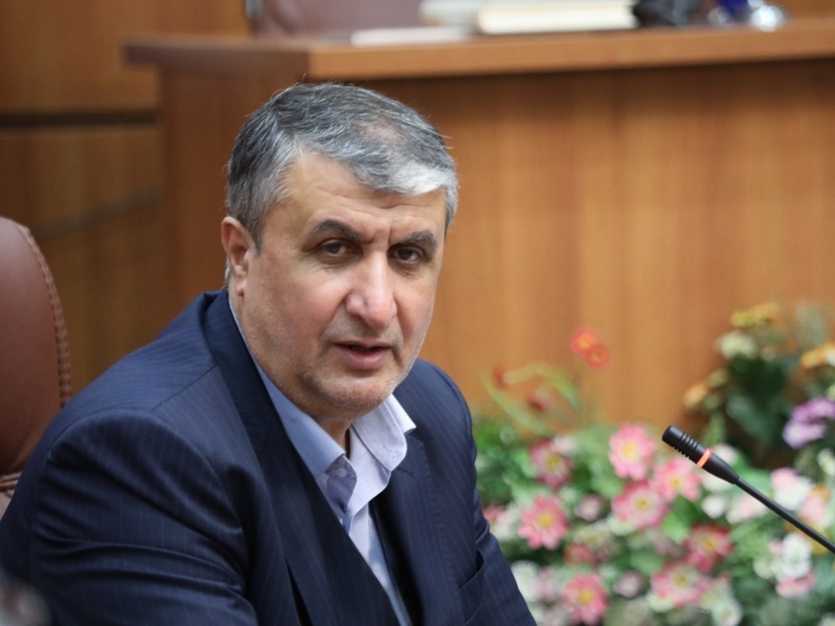 رئیس سازمان انرژی اتمی: اظهارات گروسی بعد فنی و حقوقی ندارد