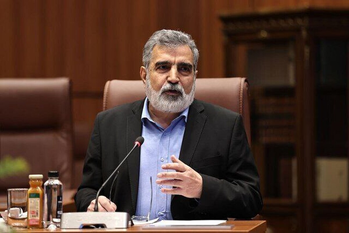 سخنگوی سازمان انرژی اتمی ایران گفت: درصورت اقدامات غیرسازنده شورای حکام آژانس، بلافاصله در همان روز اقدامات فنی و غیرفنی به فراخور اقدام طرف مقابل انجام می‌دهیم.