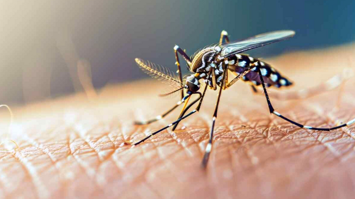 تشدید مراقبت در مبادی مرزی برای کنترل تب دنگی