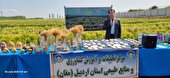 از صرفه‌جویی ۲ میلیارددلاری تا تولید ۹۸ درصد بذرهای داخلی